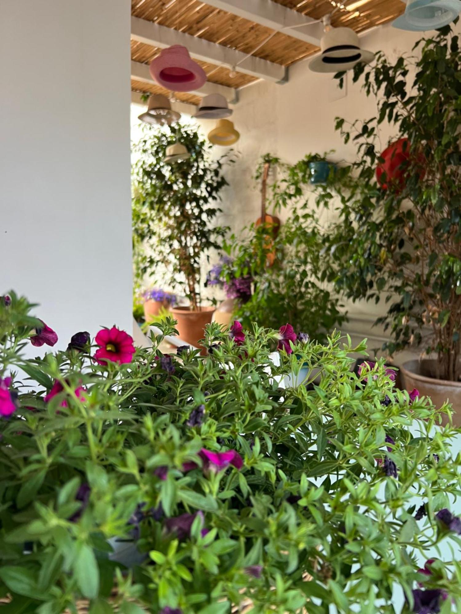 Suite Battisti 7 莱切 外观 照片